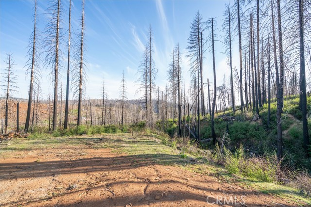 Detail Gallery Image 51 of 51 For 4908 Deerwood Ct, Grizzly Flats,  CA 95636 - 2 Beds | 2 Baths