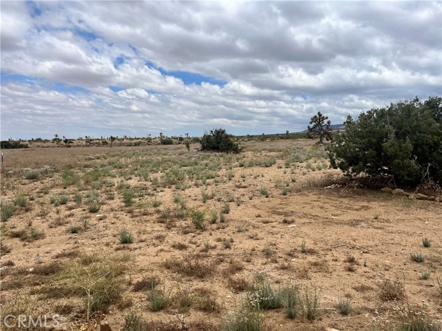 0 Vac/Vic Bobs Gap Rd/175 Ste, Llano, California 93544, ,Land,For Sale,0 Vac/Vic Bobs Gap Rd/175 Ste,CRHD23112703