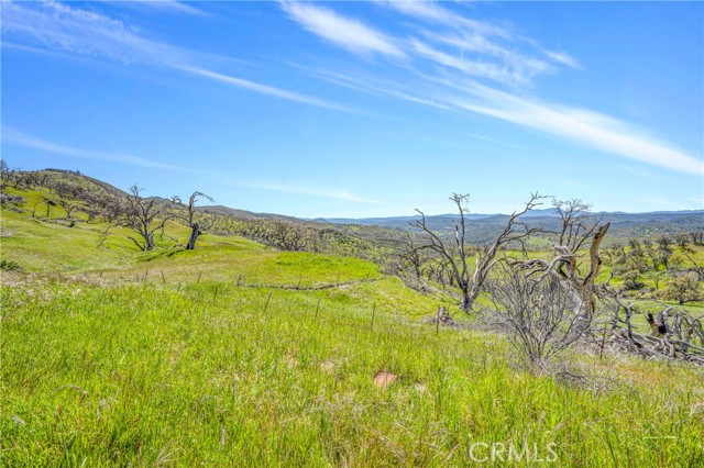 9250 Sky High Ridge Road, Lower Lake, California 95457, ,Land,For Sale,9250 Sky High Ridge Road,CRLC23060535