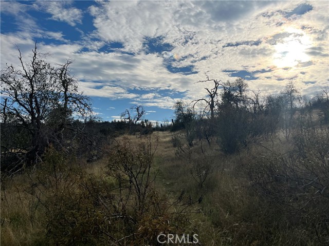 Detail Gallery Image 51 of 69 For 4934 Guadalupe Fire, Catheys Valley,  CA 95306 - – Beds | – Baths