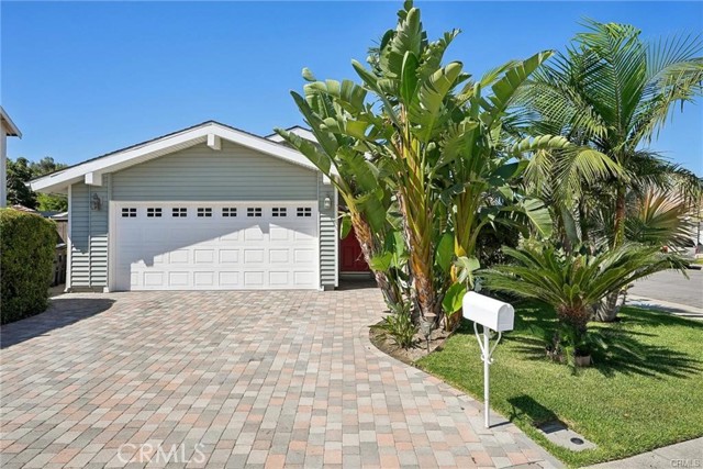 Front Image Thumbnail for CROC25238358