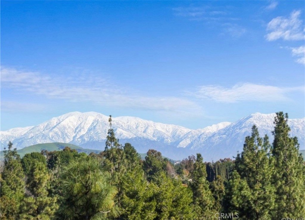 https://media.crmls.org/medias/b386bb7c-bcd4-476e-9aae-fa738160efb3.jpg?preset=X-Large