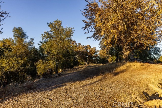 Detail Gallery Image 51 of 65 For 5503 Whispering Pines Ln, Paso Robles,  CA 93446 - 4 Beds | 2/1 Baths