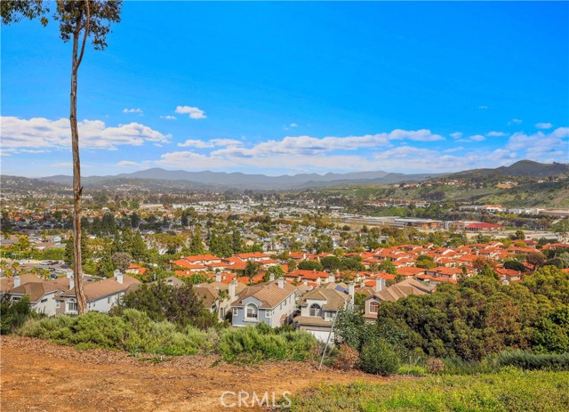 Detail Gallery Image 68 of 74 For 16 Lapis Avenue, Dana Point,  CA 92629 - 5 Beds | 5/1 Baths