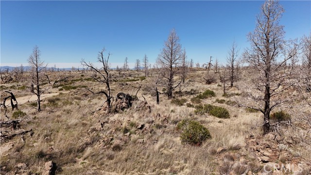 Detail Gallery Image 19 of 25 For 35 Blk 43 Lot 35 Heinzelman Dr, Montague,  CA 96064 - – Beds | – Baths