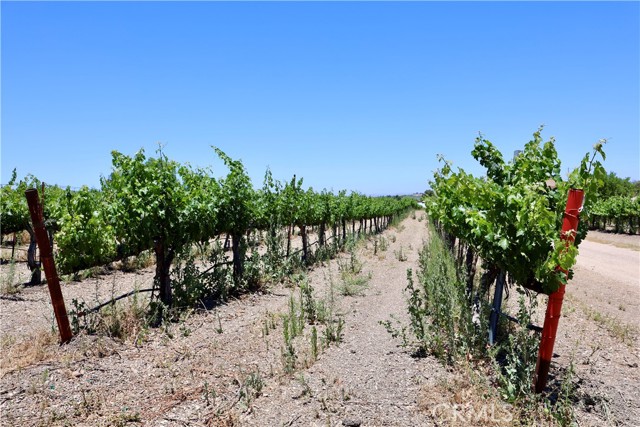 5575 El Pomar Drive, Templeton CA: https://media.crmls.org/medias/b3a38fce-8028-421d-9d1f-2d3fdc143964.jpg