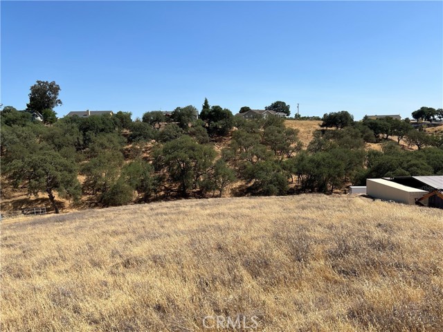 0 Pepper Tree Way, Paso Robles CA: https://media.crmls.org/medias/b3a42064-982d-492f-ae73-1355e19ebd5a.jpg