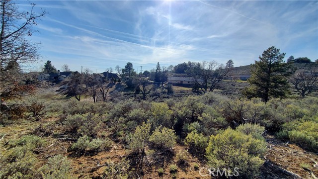 25041 Jacaranda Drive, Tehachapi, California 93561, ,Land,For Sale,25041 Jacaranda Drive,CRSR23210317