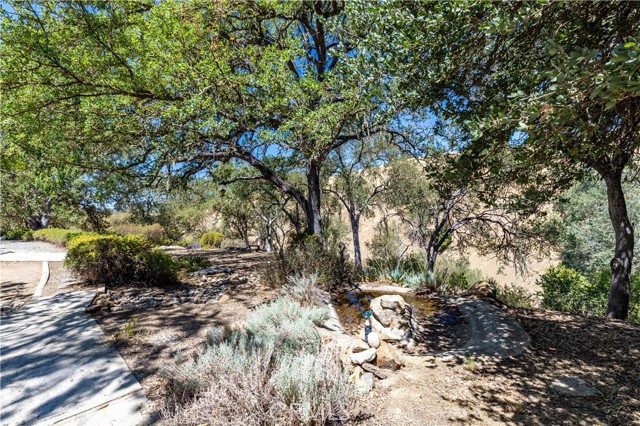 4250 Skylink Lane, Paso Robles CA: https://media.crmls.org/medias/b3b5f2a4-c314-42ce-bf2c-f72f48dbfcaf.jpg