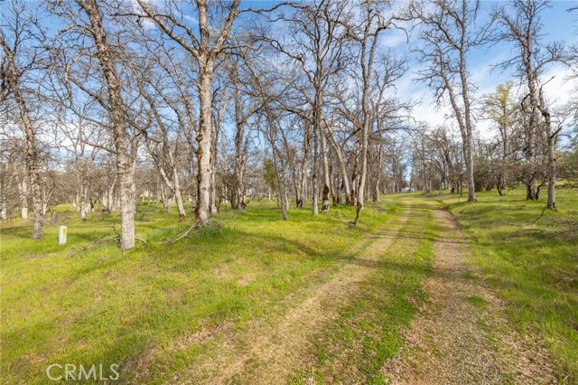 Detail Gallery Image 13 of 22 For 5328 E Whitlock, Mariposa,  CA 95338 - – Beds | – Baths