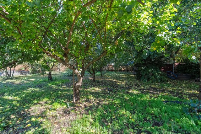 Detail Gallery Image 68 of 75 For 4227 Michelle Ct, Chico,  CA 95973 - 4 Beds | 2/1 Baths