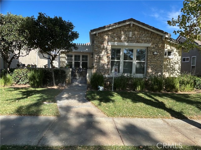 Front Image Thumbnail for CROC25251510