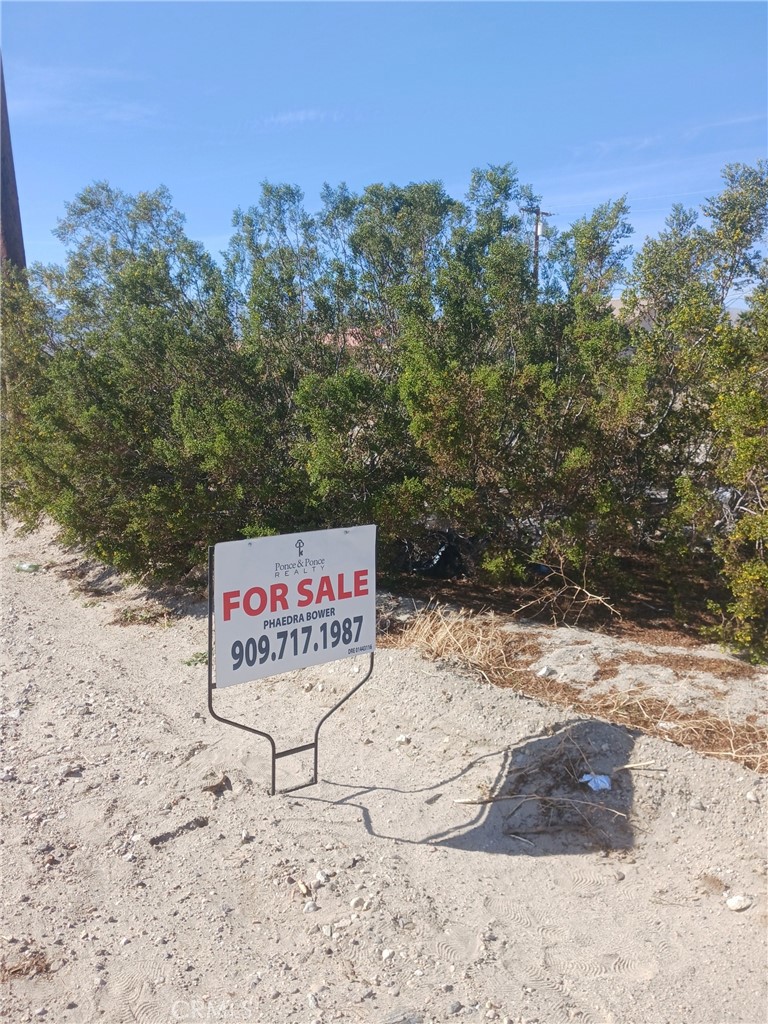 MLS #IG25044709 img 2