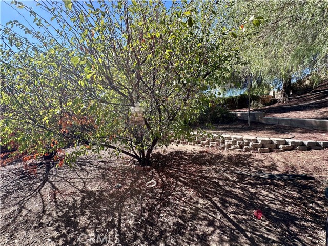 Detail Gallery Image 8 of 30 For 31600 Saddle Ridge Dr, Lake Elsinore,  CA 92532 - 3 Beds | 2 Baths