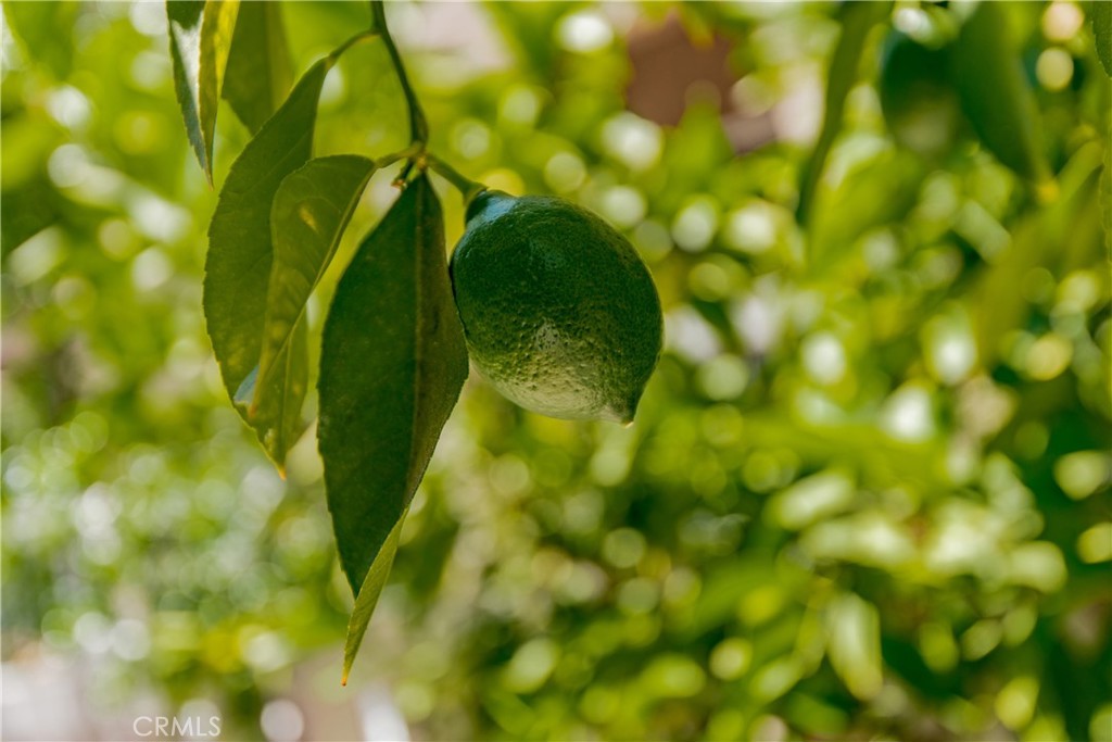 https://media.crmls.org/medias/b3d08167-8a9e-4248-b88d-712cd22d6410.jpg?preset=X-Large