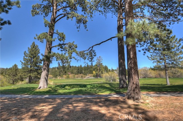 Detail Gallery Image 34 of 50 For 1053 Club View Dr, Big Bear Lake,  CA 92315 - 2 Beds | 2 Baths