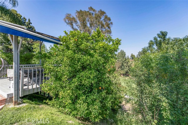 12410 Mclennan Avenue, Granada Hills CA: https://media.crmls.org/medias/b3d75fcf-b8bb-48d2-96bf-d2522538a682.jpg