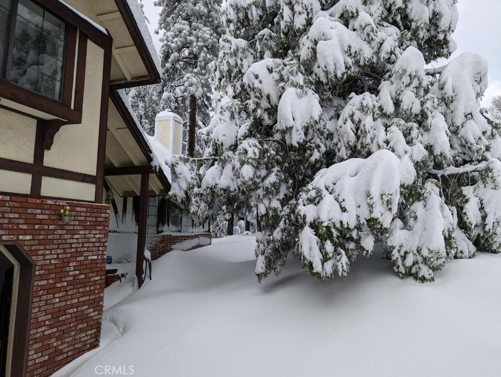 MLS #SW25239253 image #19