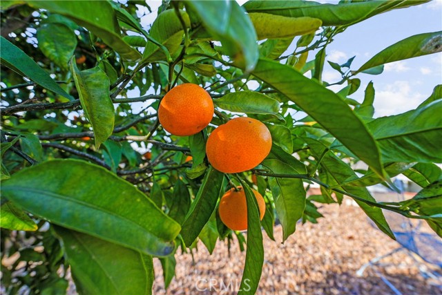 Detail Gallery Image 64 of 68 For 5168 Indian Ct, Oceanside,  CA 92057 - 2 Beds | 2 Baths