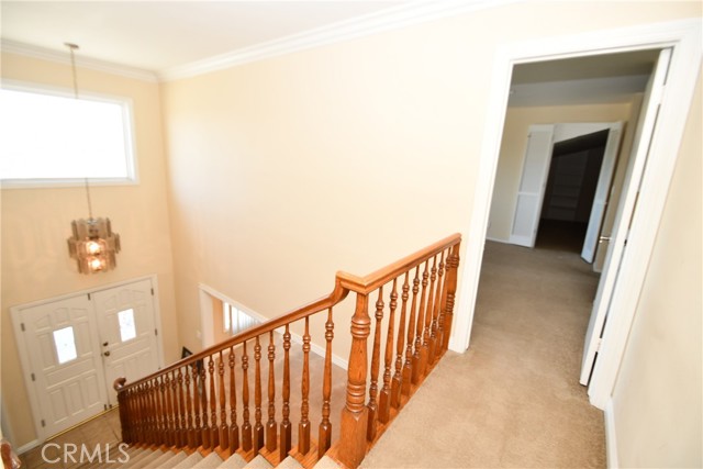20318 Regina Avenue, Torrance CA: https://media.crmls.org/medias/b3df52e9-6f40-4594-ba65-67070b551a6b.jpg