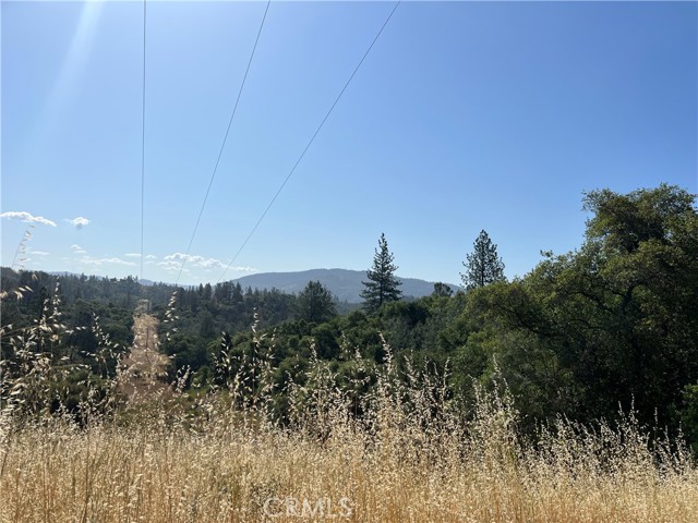 Detail Gallery Image 13 of 28 For 0 Rich Gulch Rd, Yankee Hill,  CA 95965 - – Beds | – Baths