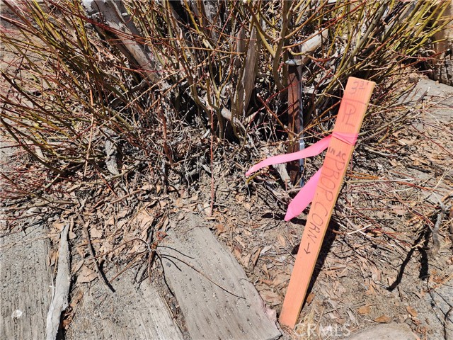 Detail Gallery Image 10 of 27 For 627 Cienega Rd, Big Bear Lake,  CA 92315 - – Beds | – Baths