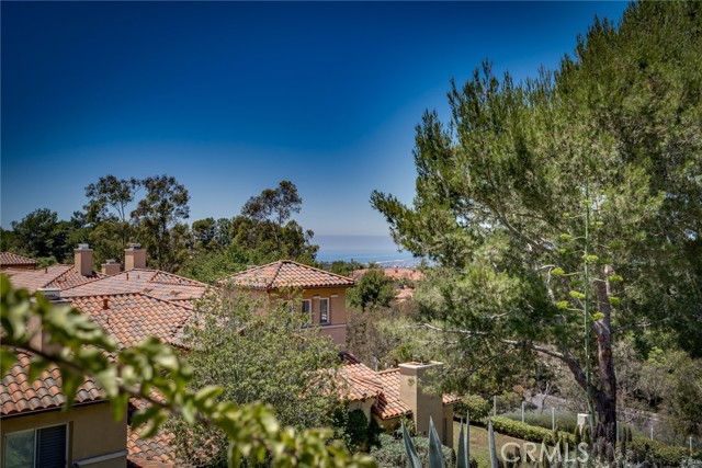12 Savona Court, Newport Coast CA: https://media.crmls.org/medias/b3e9efb6-a9f4-4d68-9ad6-ee9b6fbca9c9.jpg