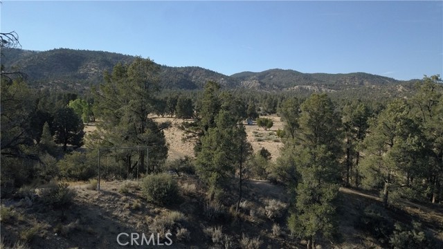 16469 Curtis Trail, Frazier Park CA: https://media.crmls.org/medias/b3ea90d0-3c78-4e50-a5f9-bd25ac002281.jpg