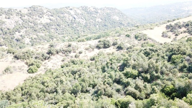 Detail Gallery Image 6 of 9 For 15 Acres, Miramonte,  CA 93641 - – Beds | – Baths