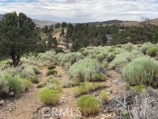 0 Ponderosa, Big Bear City, California 92314, ,Land,For Sale,0 Ponderosa,CROC20150732