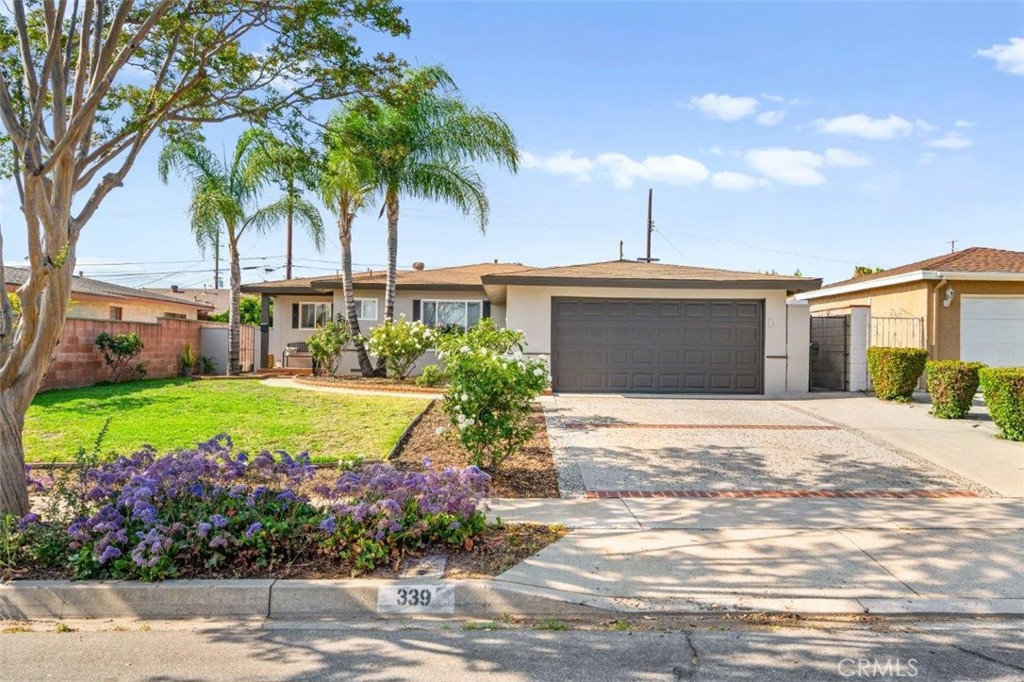 339 W Alcross Street