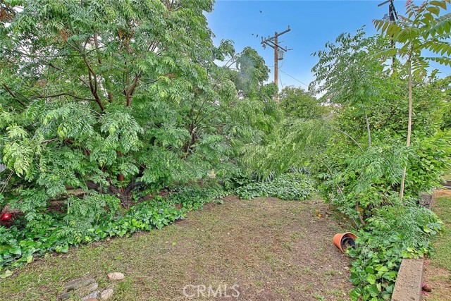 Detail Gallery Image 46 of 50 For 555 Courtland Dr, San Bernardino,  CA 92405 - 3 Beds | 2 Baths