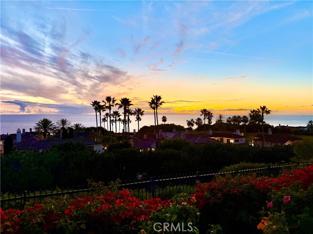 Front Image Thumbnail for CRNP26002486