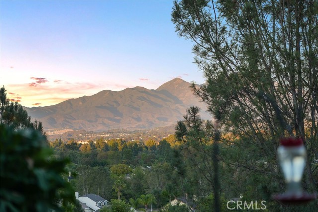 Front Image Thumbnail for CRLG26224973
