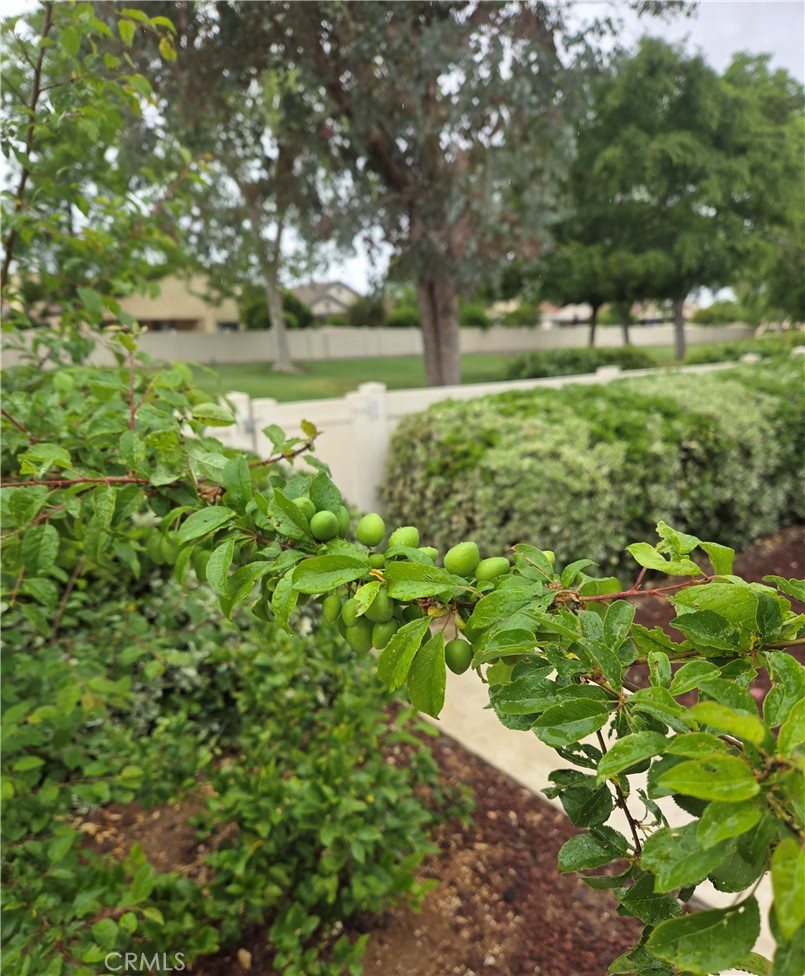 https://media.crmls.org/medias/b41649a5-3d56-4eb7-ab4f-7915e5b4ca1b.jpg?preset=X-Large