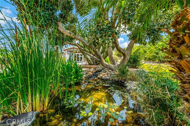 40555 Benji Lane, Hemet CA: https://media.crmls.org/medias/b417f238-9401-4aa6-a13b-c2ef86f6448e.jpg