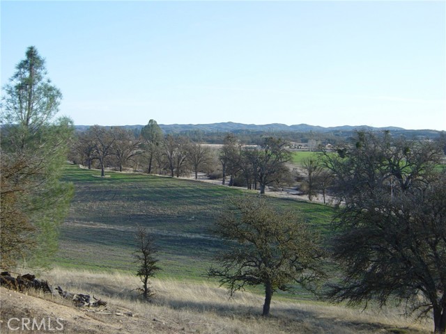 Detail Gallery Image 17 of 71 For 6675 Webster Rd, Creston,  CA 93432 - – Beds | – Baths