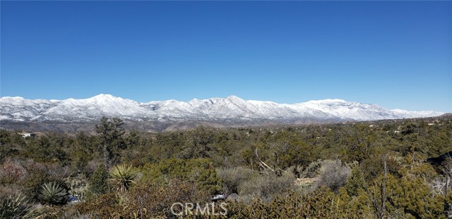 Detail Gallery Image 19 of 19 For 155 Lot #155 Buckthorn, Mountain Center,  CA 92561 - – Beds | – Baths