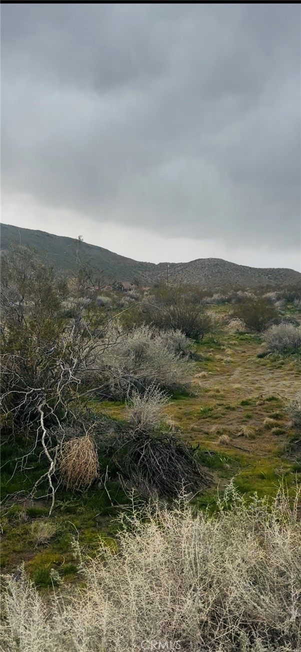 Front Image Thumbnail for CRHD26085149