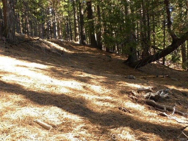 Detail Gallery Image 7 of 8 For 7486 Henness Ridge, Yosemite,  CA 95389 - – Beds | – Baths