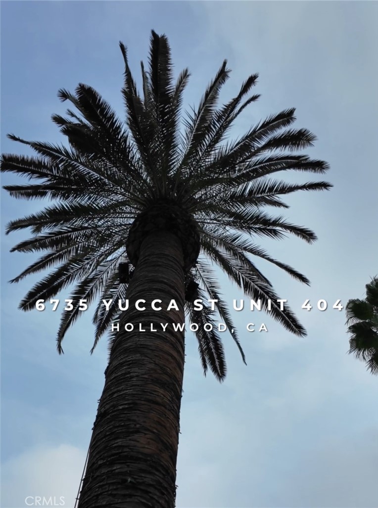 B4300f1f 0c77 40eb Aa4e 0eebcb1ca045