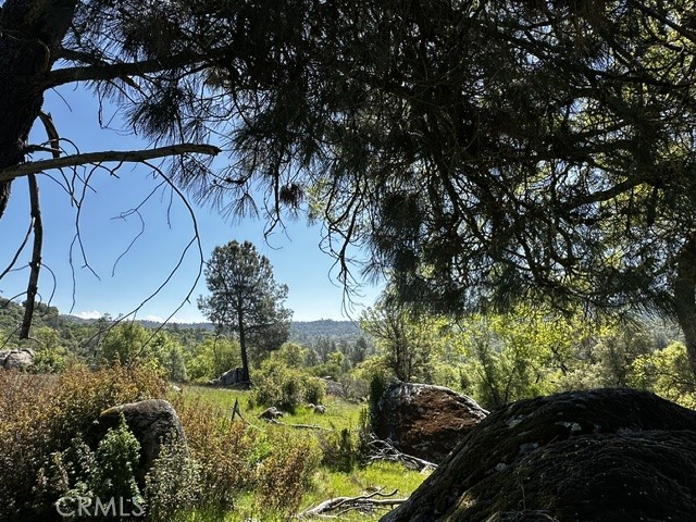 MLS #MC25081631 image #1