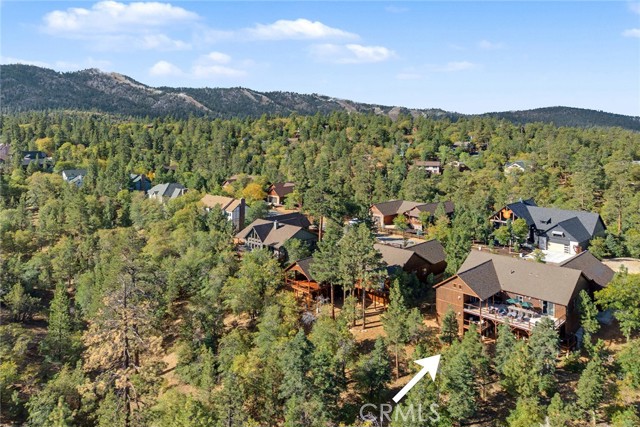 1658 Tuolumne Road, Big Bear City CA: https://media.crmls.org/medias/b4332993-4005-409e-add3-cf38d1fe528e.jpg