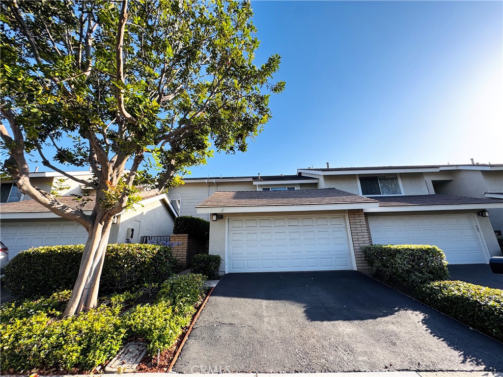 136 Briarwood #50