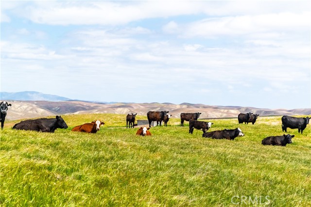 Detail Gallery Image 2 of 44 For 8050 Bitterwater Road, Shandon,  CA 93461 - 3 Beds | 1 Baths