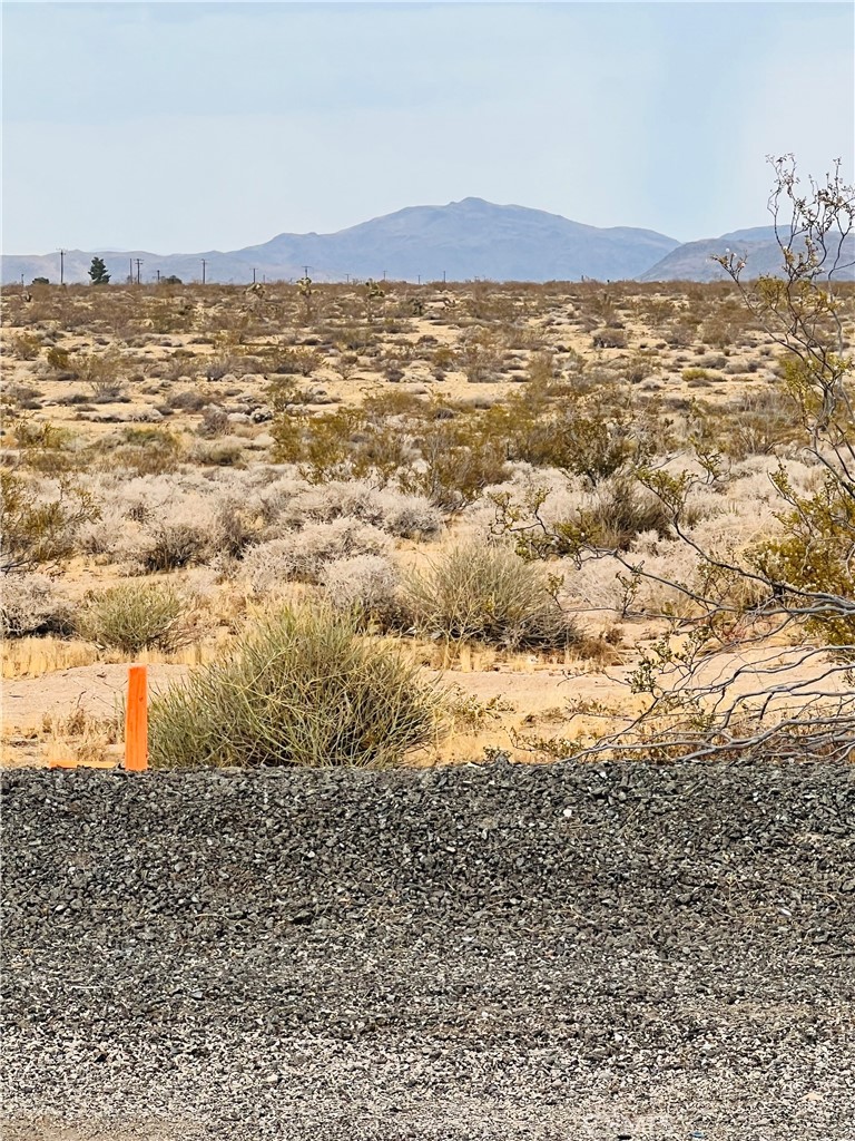 MLS #IV25178984 image #3