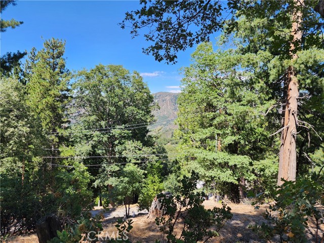 203 Canyon View Drive, Crestline, California 92325, ,Land,For Sale,203 Canyon View Drive,CRRW23202829