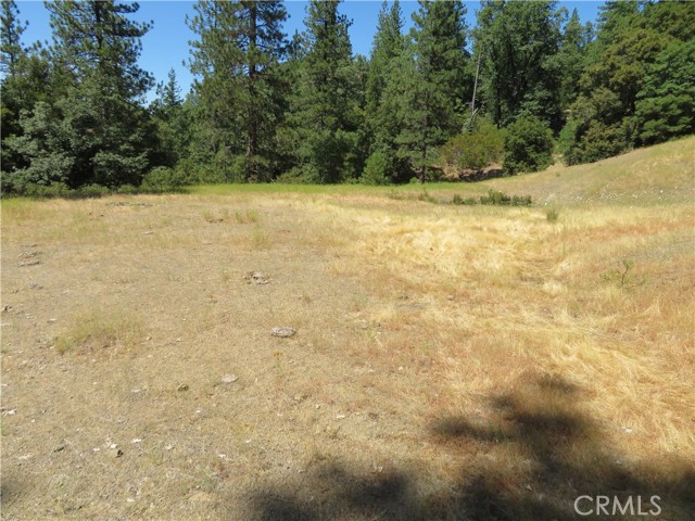 0 Barns Ranch Road, Covelo, California 95428, ,Land,For Sale,0 Barns Ranch Road,CRSN23031018