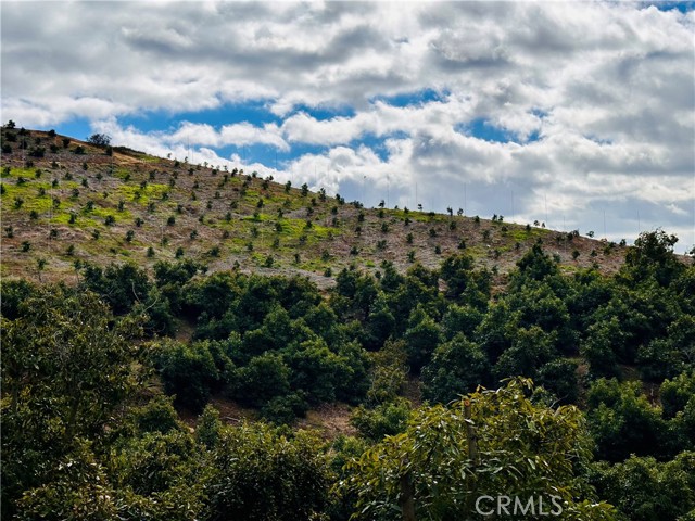 39725 Jones Road, Fallbrook CA: https://media.crmls.org/medias/b441cacd-a850-494a-8b61-164353061353.jpg