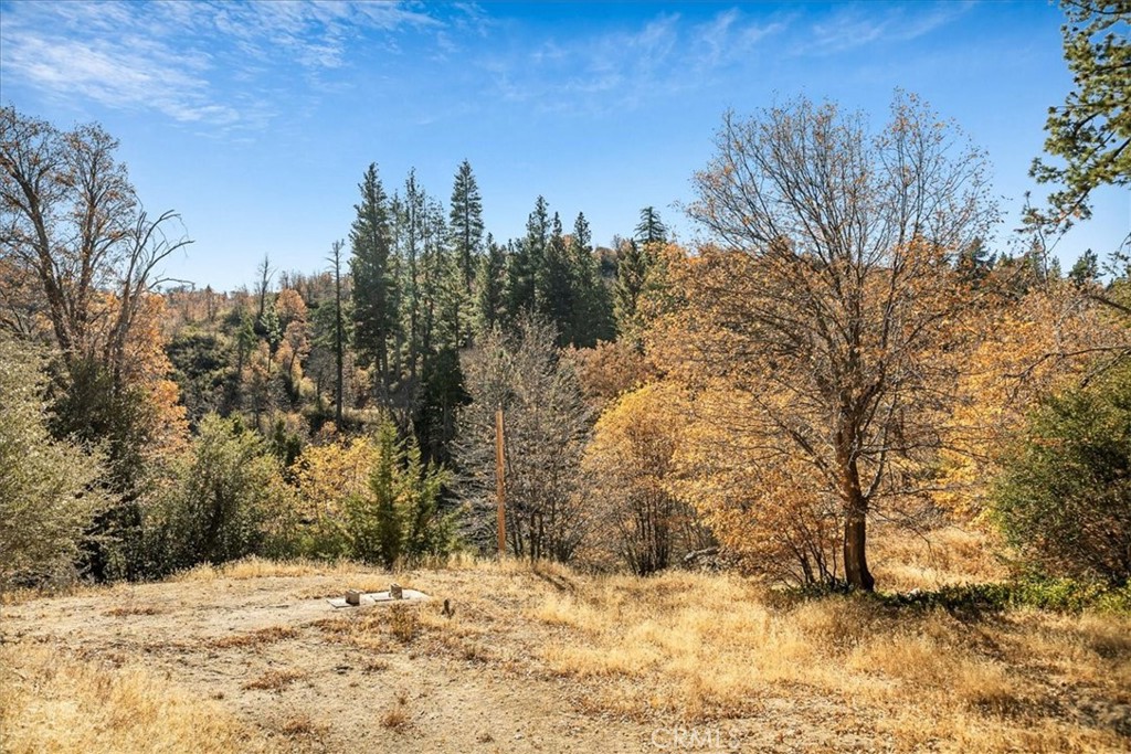 https://media.crmls.org/medias/b446ab64-d10c-439e-b10d-f9096a02a44f.jpg?preset=X-Large
